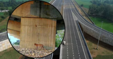 दिल्ली-देहरादून एक्सप्रेस वे की विशेषताएं