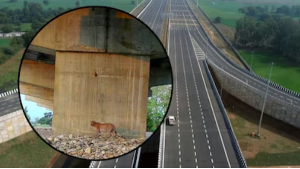 दिल्ली-देहरादून एक्सप्रेस वे की विशेषताएं