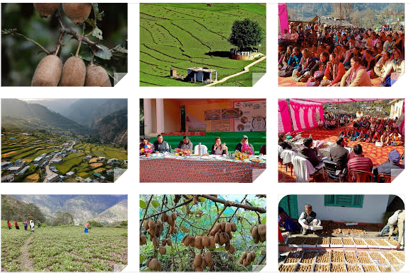 रिवर्स माइग्रेशन और आधुनिक कृषि से बदल रही उत्तराखंड के सुदूर जनपद बागेश्वर की तस्वीर