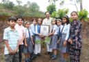 ‘एक पेड़ मां के नाम’ अभियान के साथ लेखक गांव में पर्यावरण चेतना का संदेश