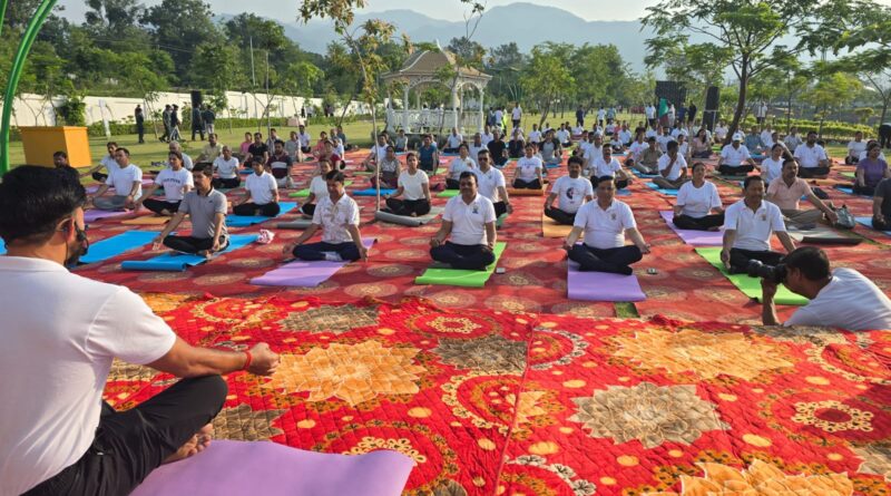 योग की छांव में विकास का संकल्प, एमडीडीए सिटी फॉरेस्ट पार्क बना स्वास्थ्य और प्रकृति का महाकुंभ