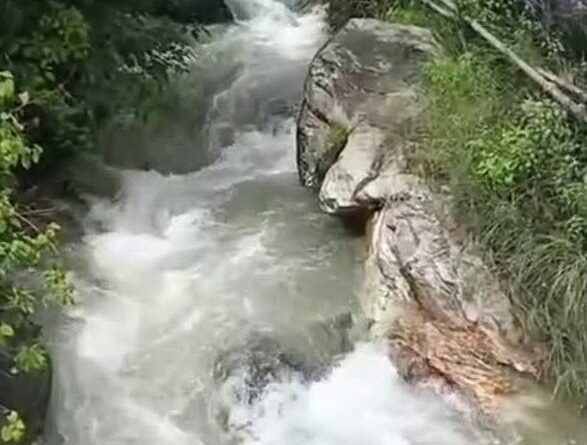 घास लेने गई महिला का पैर फिसलने से उफनते गदेरे में बही, रेस्क्यू टीम ने किया शव बरामद