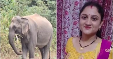 डोईवाला में दूध लेने गई महिला पर जंगली हाथी का हमला, अस्पताल में तोड़ा दम, ग्रामीणों का फूटा गुस्सा