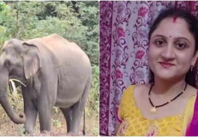 डोईवाला में दूध लेने गई महिला पर जंगली हाथी का हमला, अस्पताल में तोड़ा दम, ग्रामीणों का फूटा गुस्सा