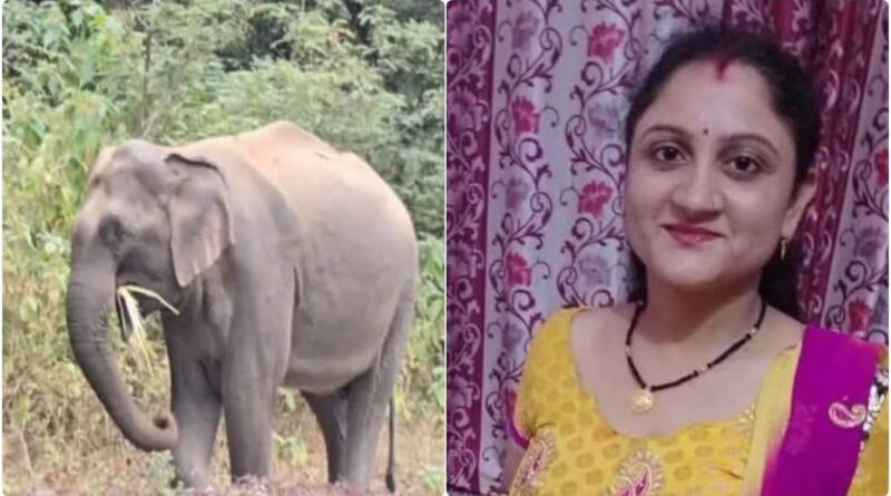 डोईवाला में दूध लेने गई महिला पर जंगली हाथी का हमला, अस्पताल में तोड़ा दम, ग्रामीणों का फूटा गुस्सा