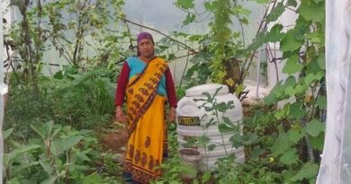 पॉलीहाउस ने बदली बीरा देवी की जिंदगी, खेती बनी आत्मनिर्भरता की मजबूत राह