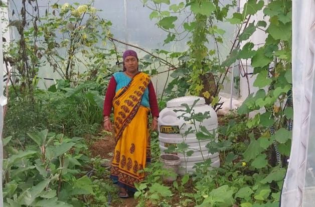 पॉलीहाउस ने बदली बीरा देवी की जिंदगी, खेती बनी आत्मनिर्भरता की मजबूत राह